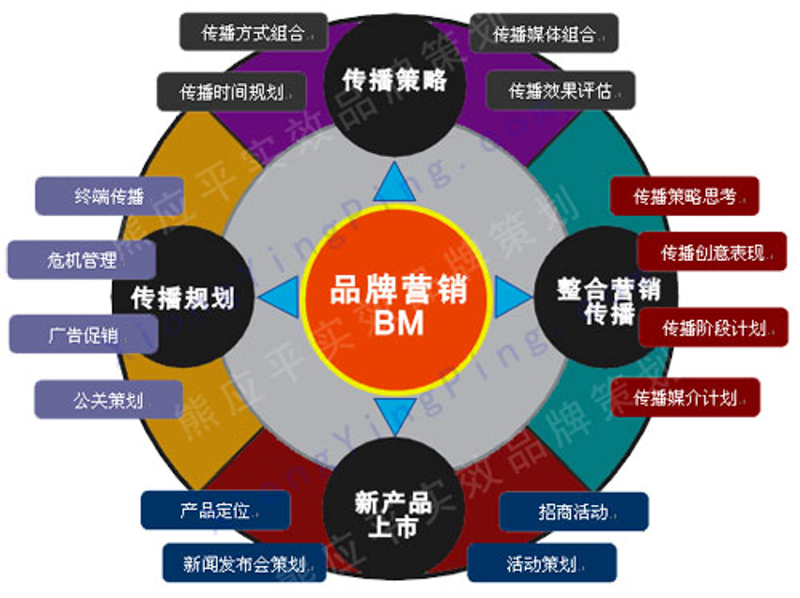 品牌营销:如何在数字时代把握市场机会